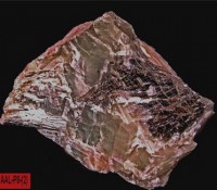 /album/galerie-photos/aal-piquette-est-epidote-2001-mod5-jpg1/